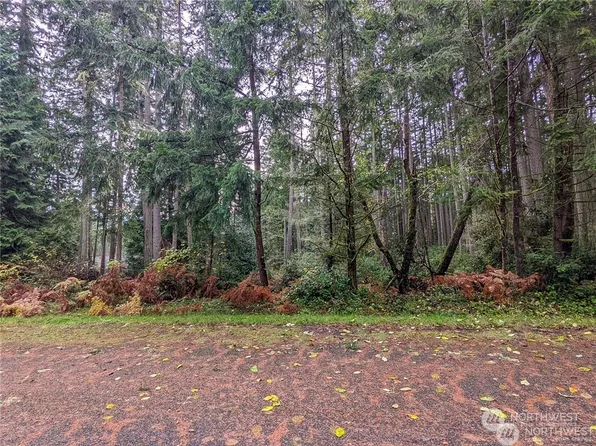 11412 Admiralty Way, Anderson Island, WA 98303