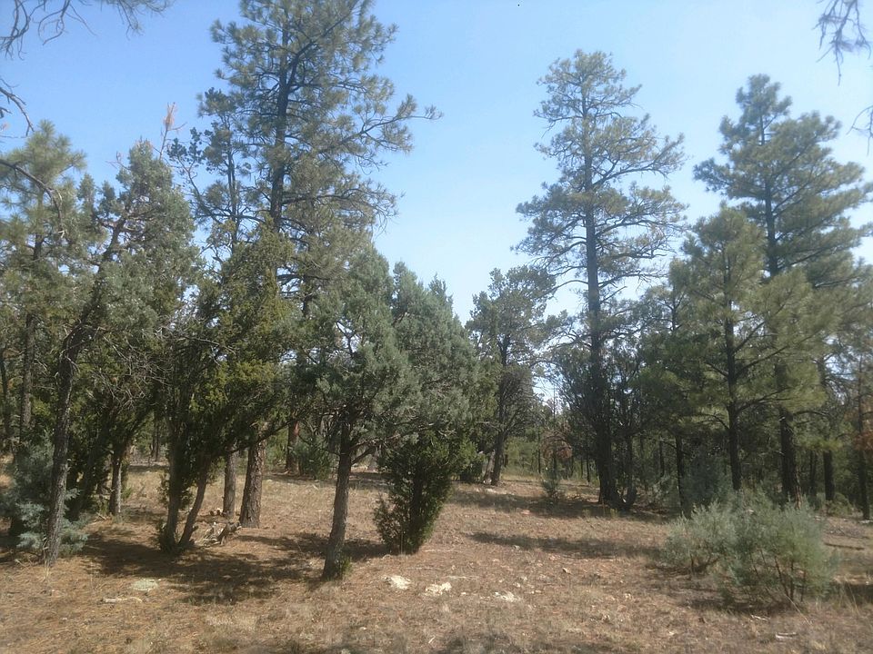 2nd image of 6889 Whispering Pine Dr
