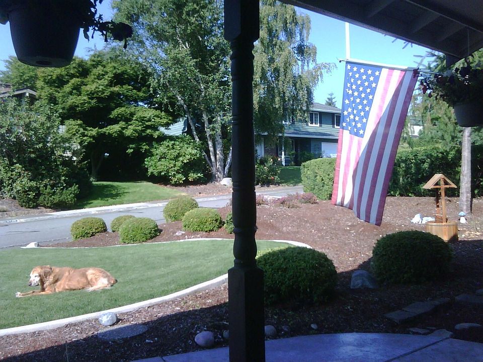 Front Yard View From Porch