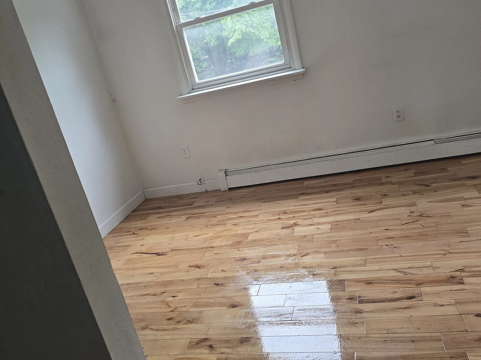 3 bed, 2000 sqft, $3,300 — Photo 1
