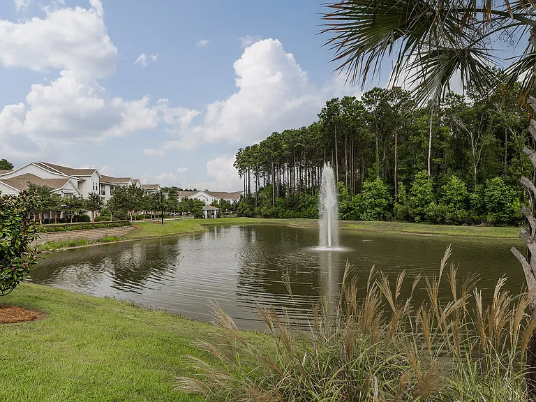 The Grove at Carolina Park Apartments — Photo 40
