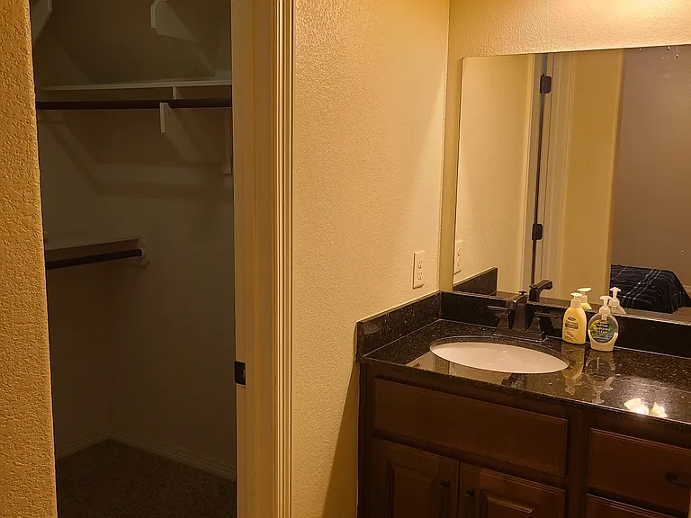 Sink area and closet
