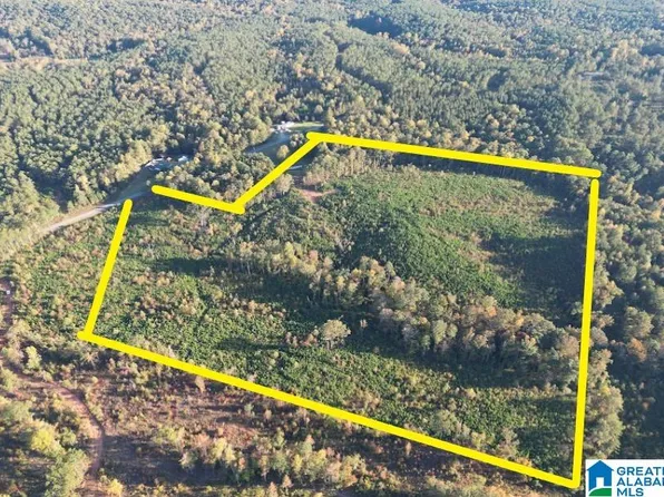 County Road 33 #0, Wedowee, AL 36278