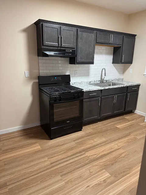 1 bed, 550 sqft, $950 — Photo 2