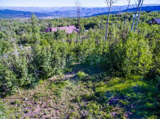 4928 Black Bear Ct, Mesa, CO 81643