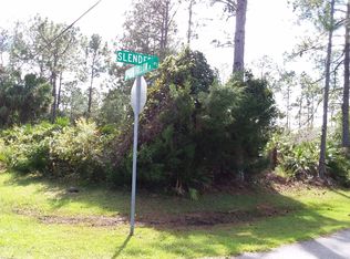 1 Slender Pl, Palm Coast, FL 32164