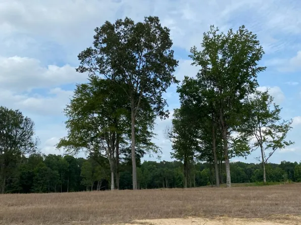 72 Pebble Cv N, Byhalia, MS 38611
