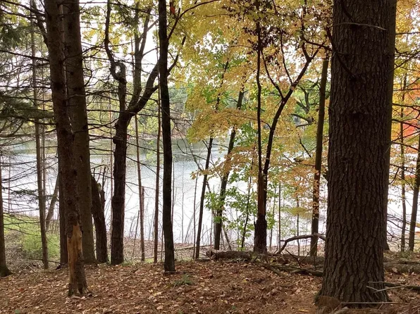 W4554 S Shore Dr, Wild Rose, WI 54984