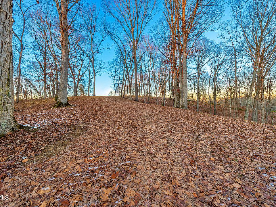 1st image of 2246 Turkey Ridge Ln