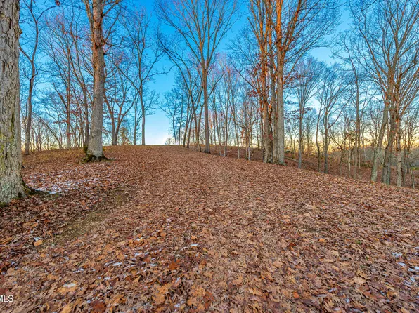 2246 Turkey Ridge Ln, Piney Flats, TN 37686