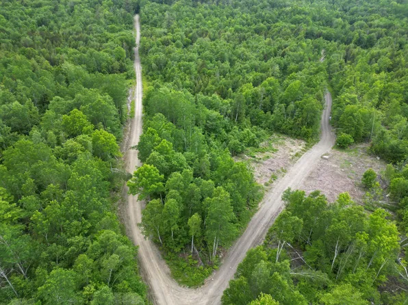 Lot 8 Moores Road, Springfield, ME 04487