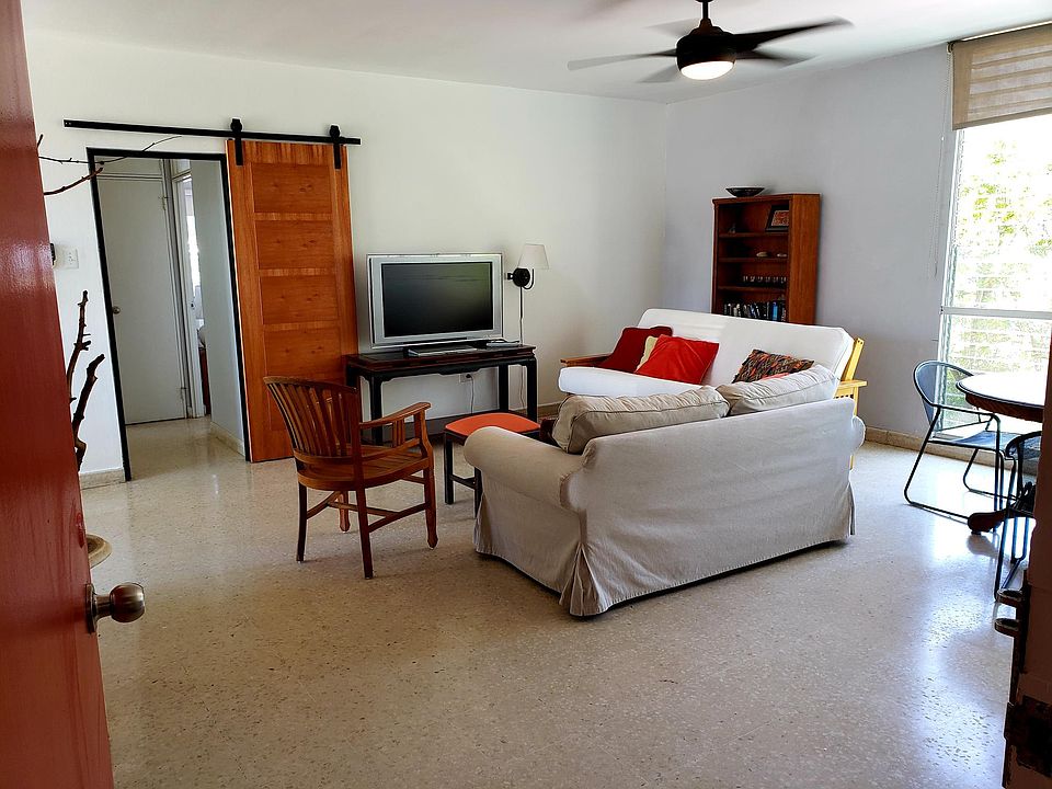 Living, Barn Door to bedrooms