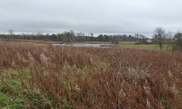2nd image of Willow Lake Dr