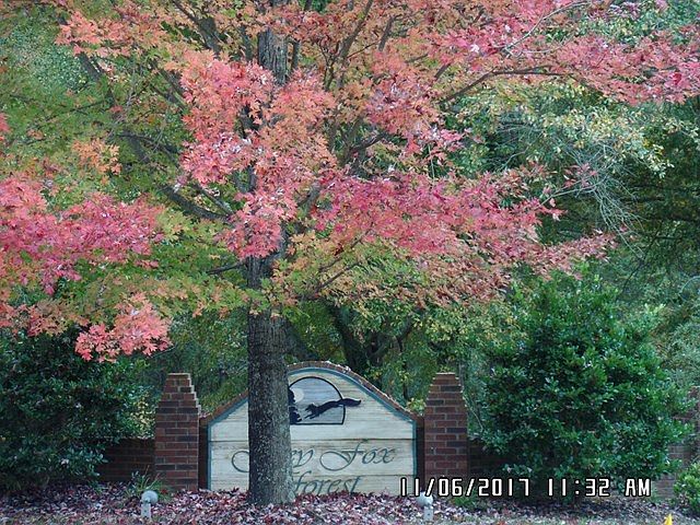 2nd image of 306 Goldfinch Ct