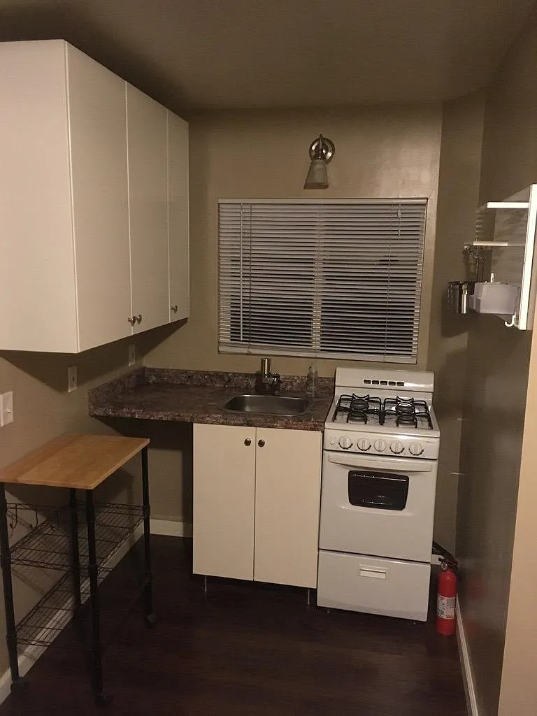 Studio, 300 sqft, $2,050 — Photo 2