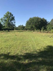 3501 San Pedro Rd #0, Perry, FL, 32347