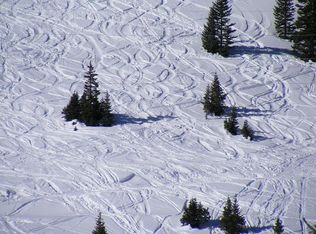 0 Gold Finch, Silverton, CO 81433