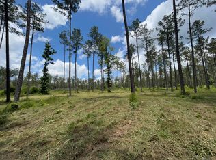 14856 Pace Rd, Clinton, LA 70722