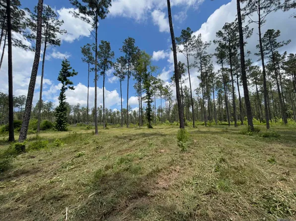 14856 Pace Rd, Clinton, LA 70722