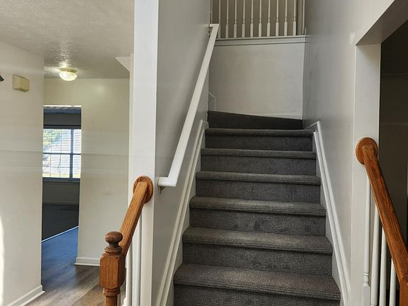 3rd image of 521 Sydney Walk Ln