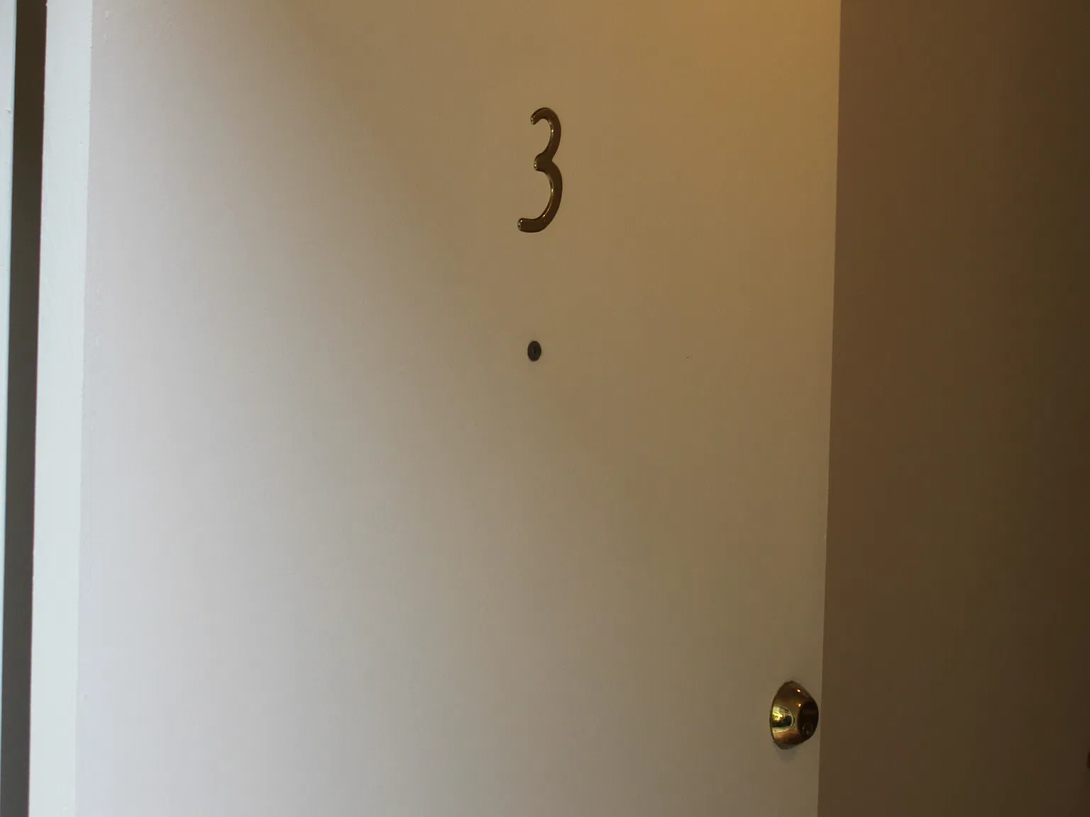 1 bed, 1000 sqft, $3,850 — Photo 2