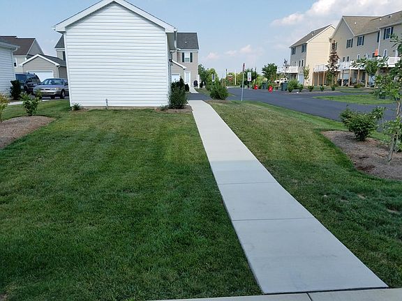 Yard & Garage