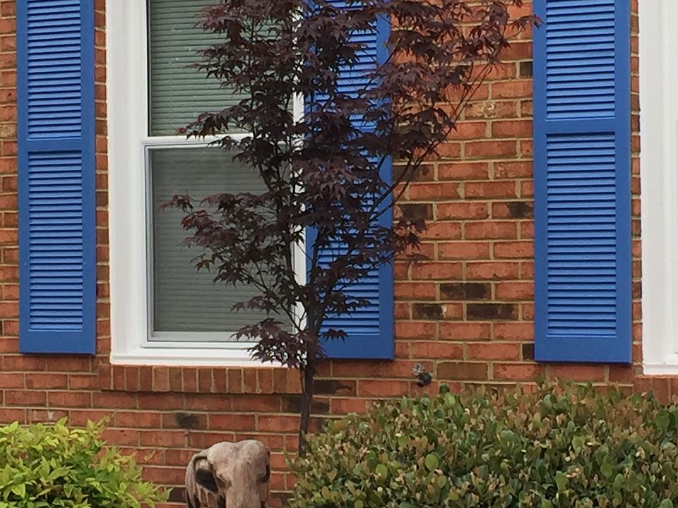 1st image of 3124 Bloomfield Ct