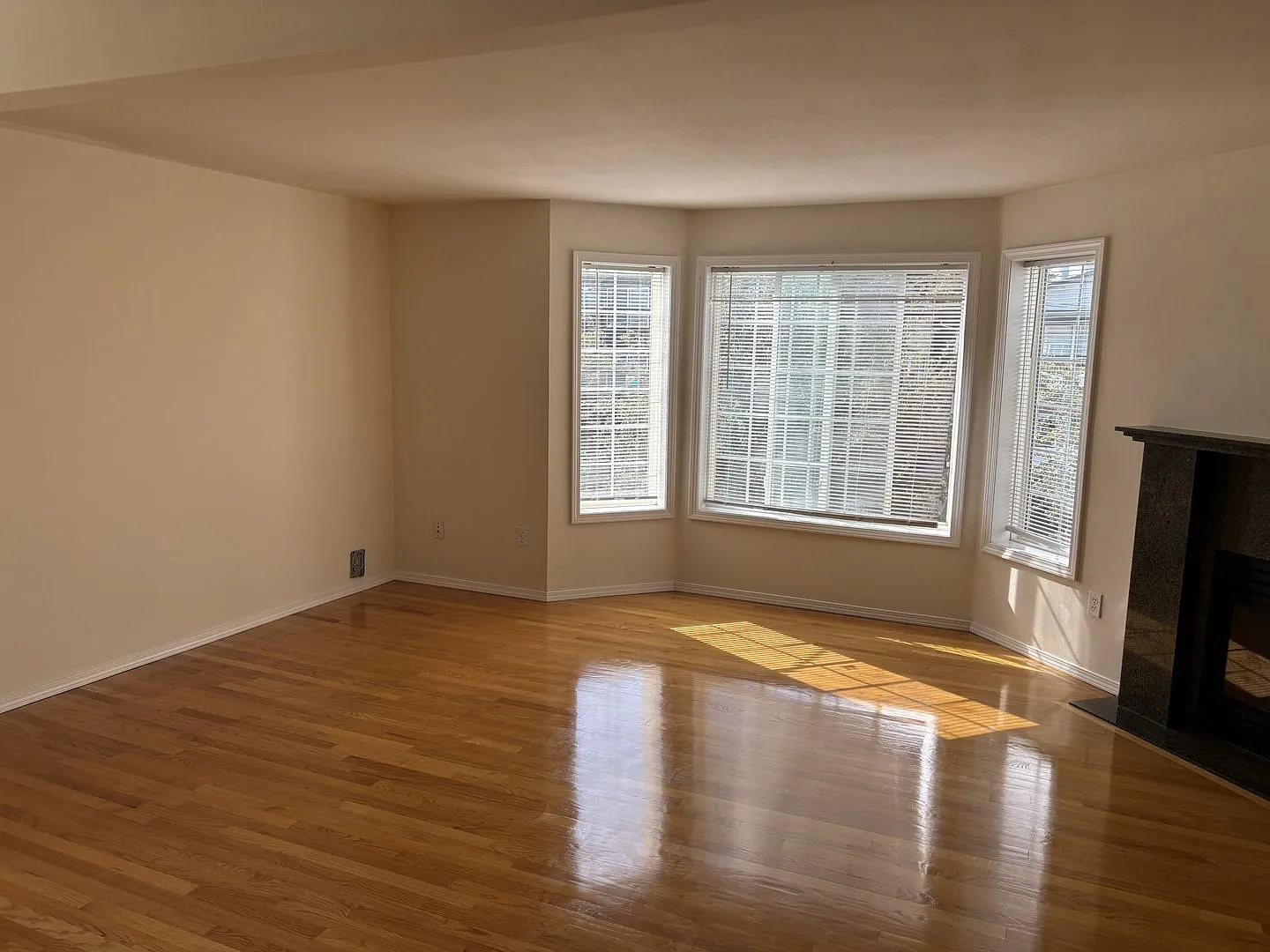 Ballard Townhouse — Photo 3