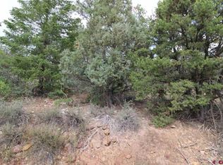 422 W View Rd, Pagosa Springs, CO 81147