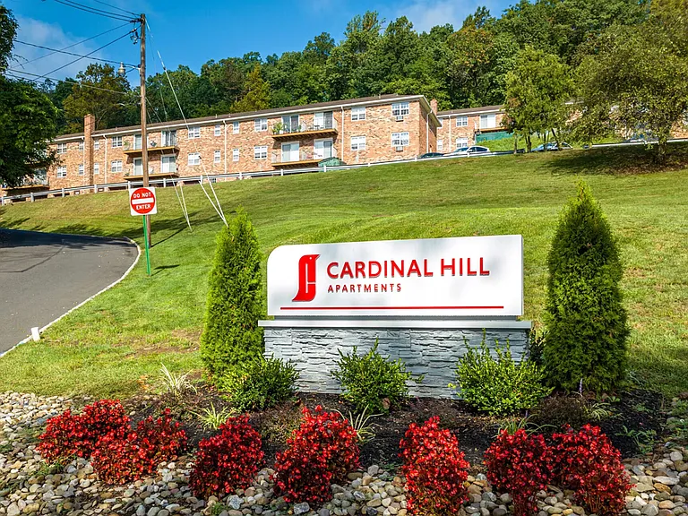 Cardinal Hill — Photo 17