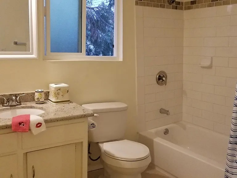 Bathroom 1 on main level