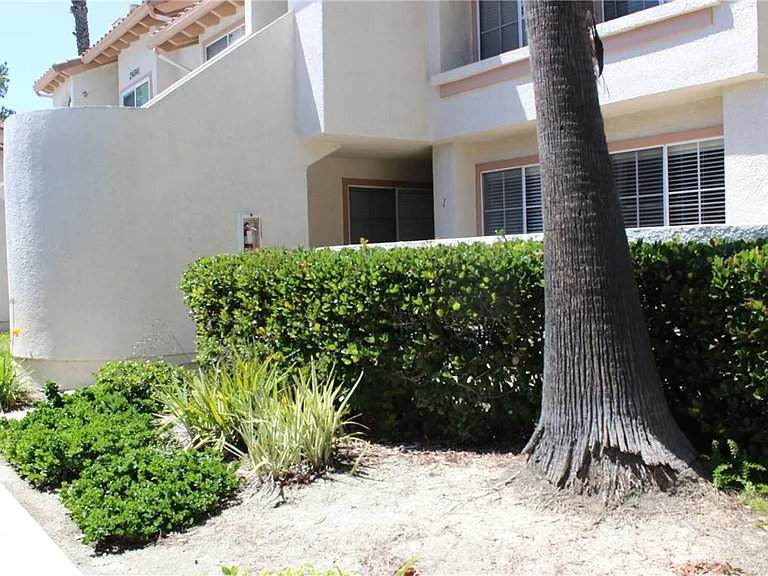 24341 Conejo #1 — Photo 3
