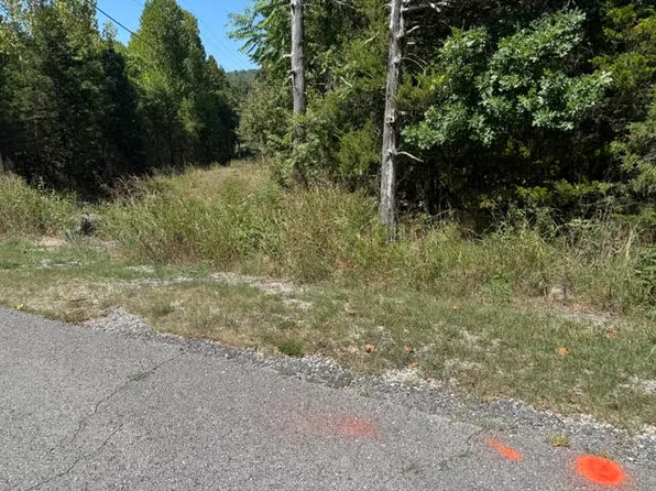 13 White River Ln #1, Eureka Springs, AR 72631