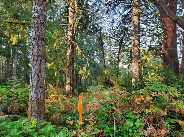 10214 Eagle Place, Anderson Island, WA 98303