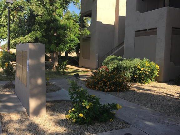 2nd image of 5035 N 17th Ave Unit 203