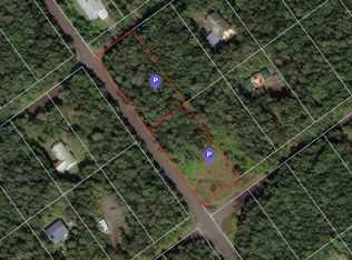 5th St LOT 481, Volcano, HI 96785