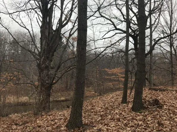 12923 Riverview Dr, Gowen, MI 49326