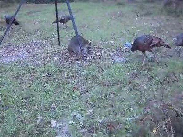 Lower Woodville Rd, Woodville, MS 39669