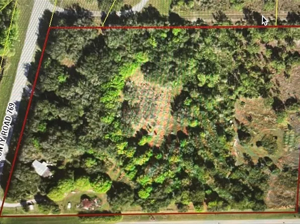 9394 SW COUNTY ROAD 769 0, ARCADIA, FL 34269