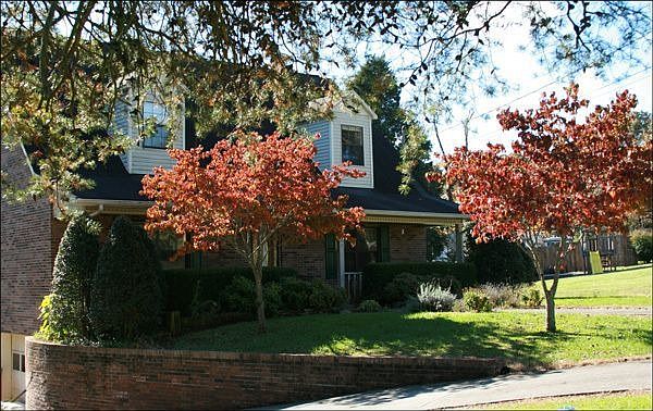 2nd image of 4120 Terrell Cir