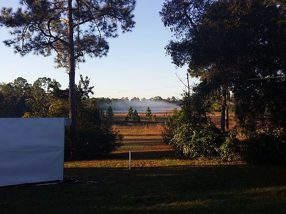 the back yard