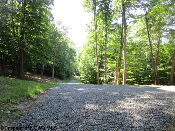 Skyline Dr, Elkins, WV 26241