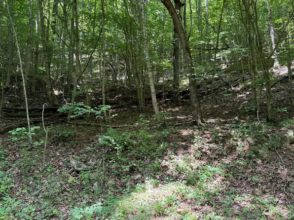 0 Saldeer Mountain Rd, Franklin, NC 28734