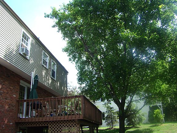 2008 Back View
