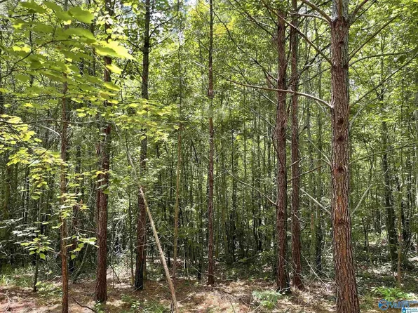 1 Lawson Gap Rd, Boaz, AL 35956