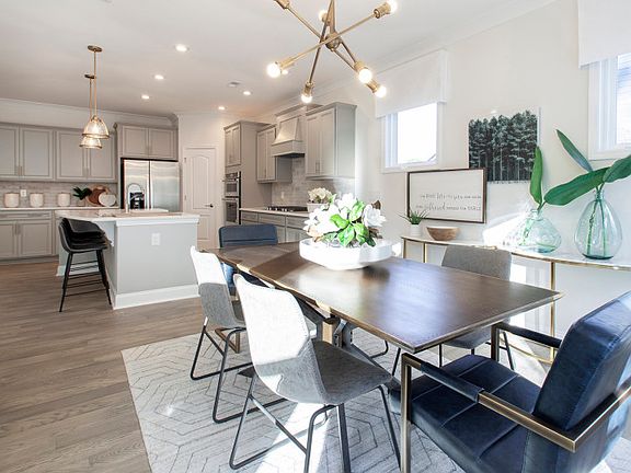 Model Representation