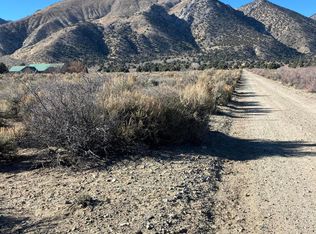 45 Red Canyon Rd, Wellington, NV 89444