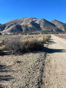 45 Red Canyon Rd, Wellington, NV, 89444