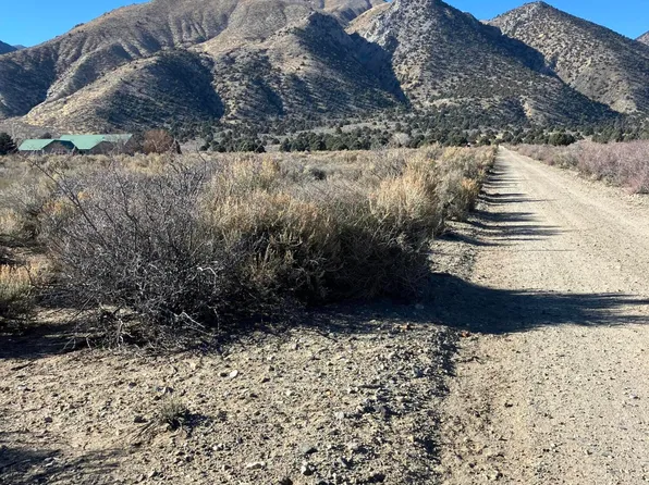 45 Red Canyon Rd, Wellington, NV 89444