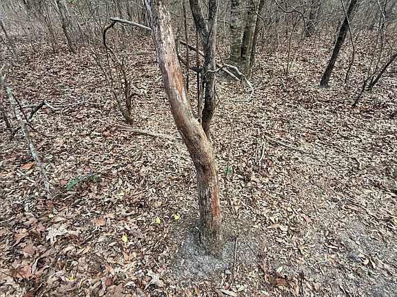 4th image of 6 State Park Rd